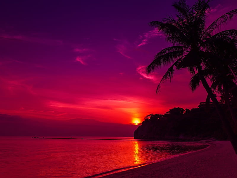 Sunset Glow, sun, palm, trees, sky, clouds, sea, beach, nature, reflection, HD wallpaper