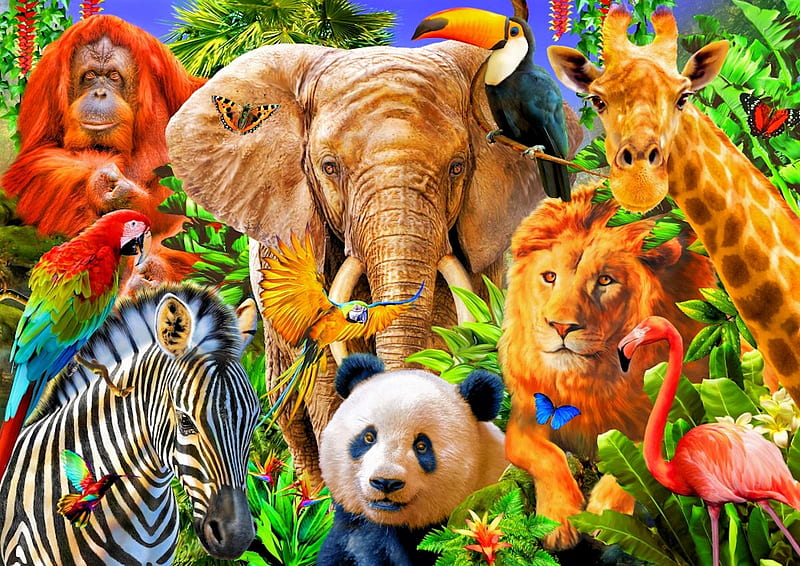 Animals, elephant, flamingo, parrot, giraffe, zebra, lion, panda bear, artwork, tucan, monkey, HD wallpaper