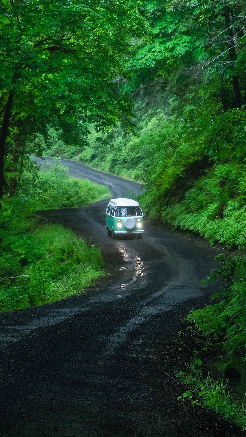 VW Bus on Forest Road, EarthVision, VW, VW bus, adventure, car, drive, driving, forest, green, road, roadtrip, van life, HD phone wallpaper