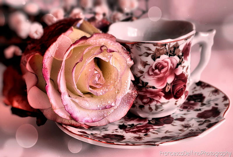 Tea time, pretty, colorful, rose, bonito, tea, floral, afternoon, nice, flowers, morning, lovel, table, lovely, fresh, scent, coffee, cup, passion, HD wallpaper