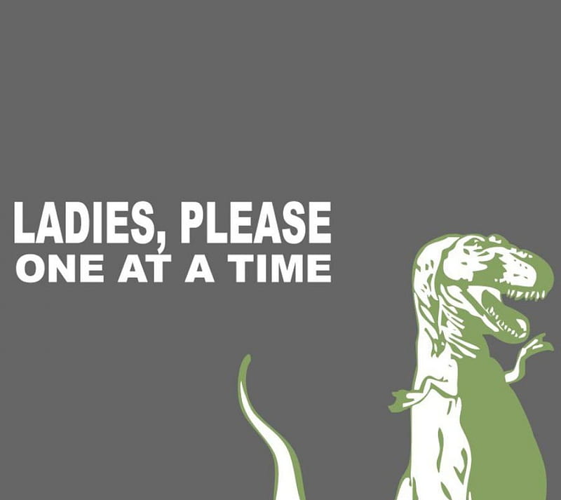 One at a Time Ladies, dinosaur, funny, sayings, trex, HD wallpaper