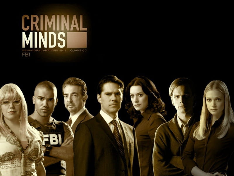 Mentes criminales, serie de televisión, Fondo de pantalla HD | Peakpx
