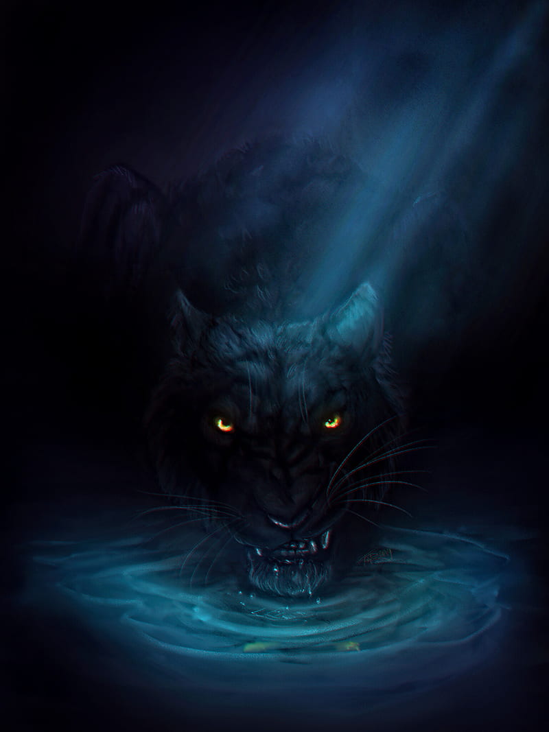 panther, grin, big cat, black, water, HD phone wallpaper