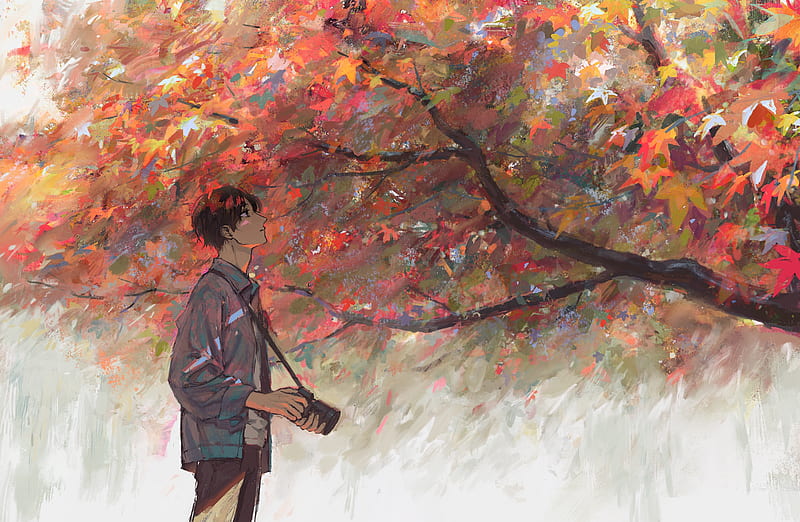 anime boy, grapher, tree, profile view, Anime, HD wallpaper