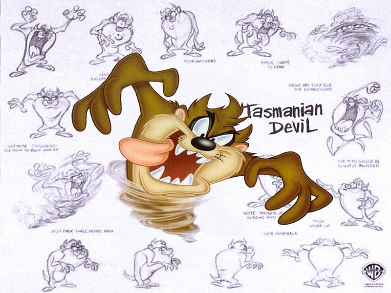 Tasmanian Devil, Tasmanian, Devil, tunes, cartoon, looney, HD wallpaper |  Peakpx