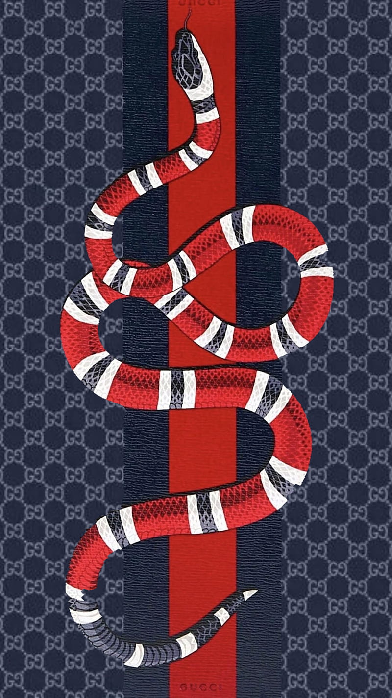 Gucci X Supreme Logo, supreme snake HD wallpaper
