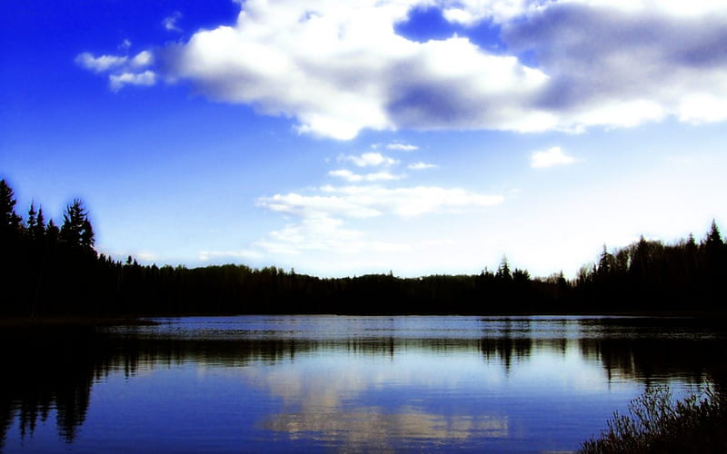 Wakami Lake Provincial Park, sultan, provincial park, wakami lake, chapleau, hidden bog trail, lake, northern ontario, HD wallpaper