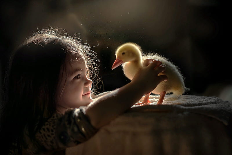 Little Girl, Girl, Nestling, Child, Goose, HD wallpaper