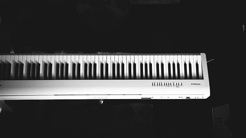 synthesizer, keys, music, black and white, HD wallpaper