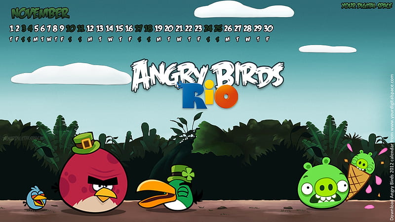November-Angry bird the whole of 2012 Calendar, HD wallpaper