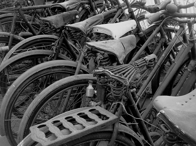 Take a seat, black and white, bicycle, transport, vintage, HD wallpaper