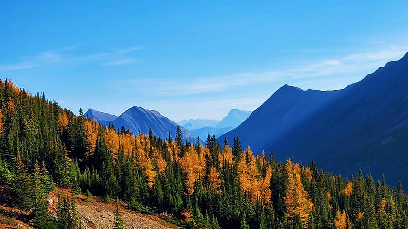Larch season in Kananaskis, Alberta, clouds, landscape, autumn, trees, sky, canada, forest, rocks, HD wallpaper
