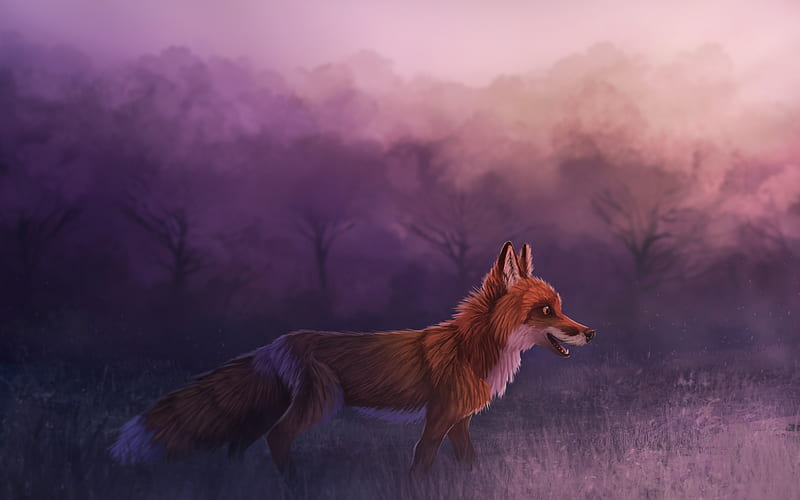 Misty Red Fox , fox, animals, HD wallpaper