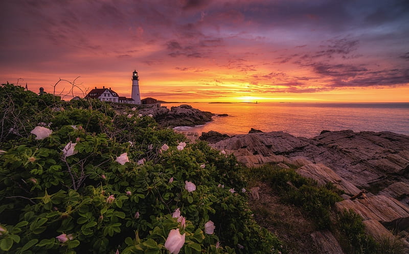 Portland Lighthouse, Maine, flowers, colors, sunset, clouds, sky, sea, HD wallpaper