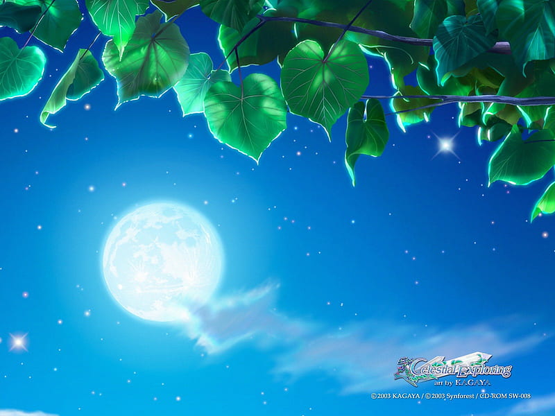 Serenity Stars Kagaya Starry Tales Celestial Celestial Exploring New Age Hd Wallpaper Peakpx