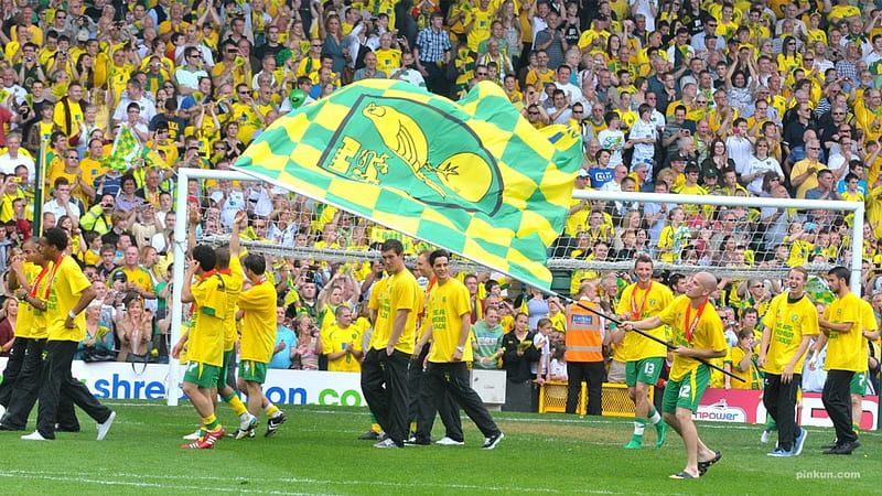 Norwich City FC green, people, Norwich City, yellow, flag, HD wallpaper