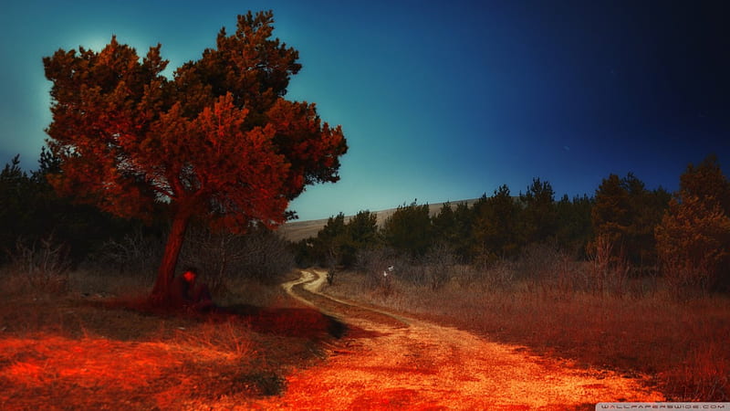 evening in an armenian countryside, countryside, red, tree, evening, road, HD wallpaper