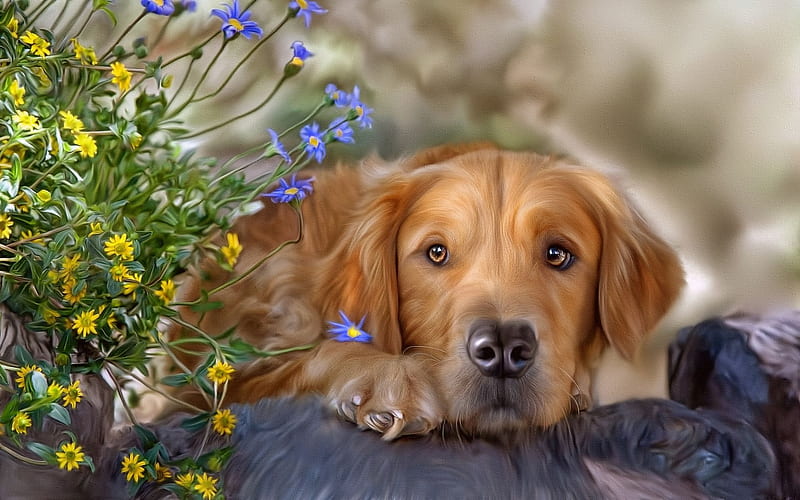 pets, flowers, golden retriever, HD wallpaper