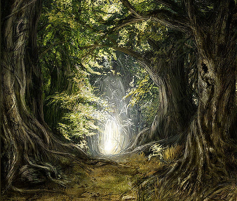 In forest, art, fairy tale, bonito, magic, fantasy, surreal, alley, light, old tree, HD wallpaper