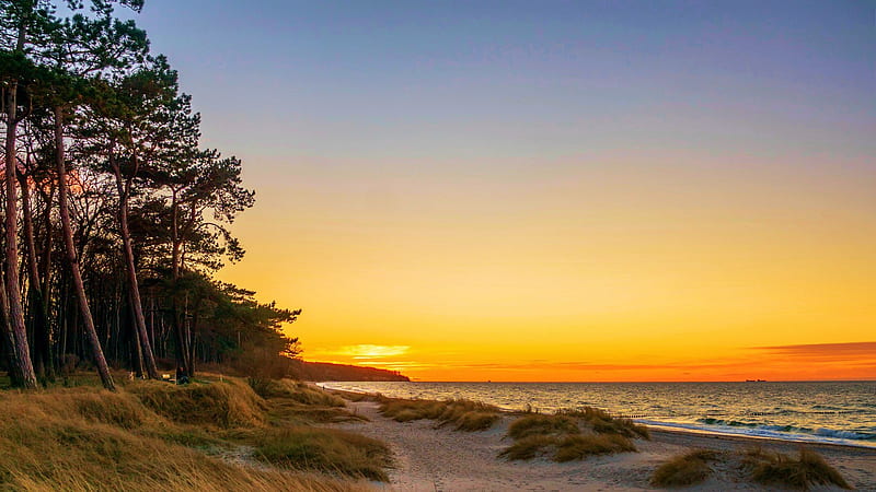 Sunset at the Baltic Sea, Germany, colors, sand, trees, sky, water, HD wallpaper