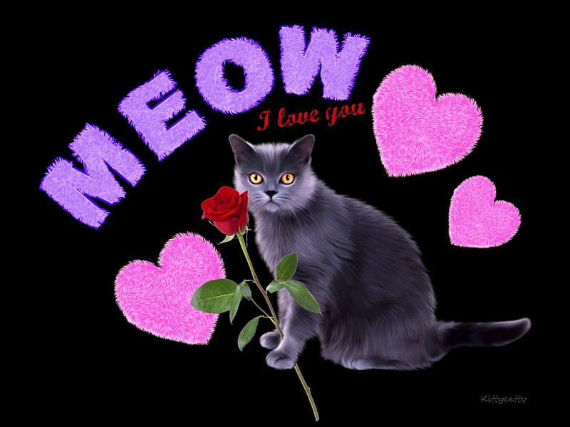 *Meow* means I love you , rose, I love you, purr, cat, corazones, animal, pet, love, meow, HD wallpaper