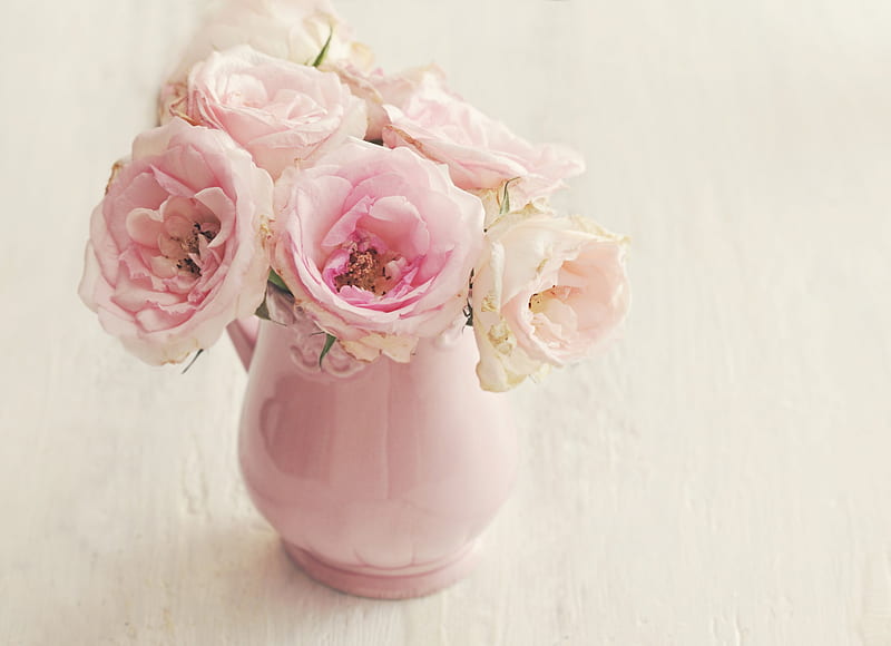 Rosa pastel, flores, florero, rosas, color suave, Fondo de pantalla HD |  Peakpx