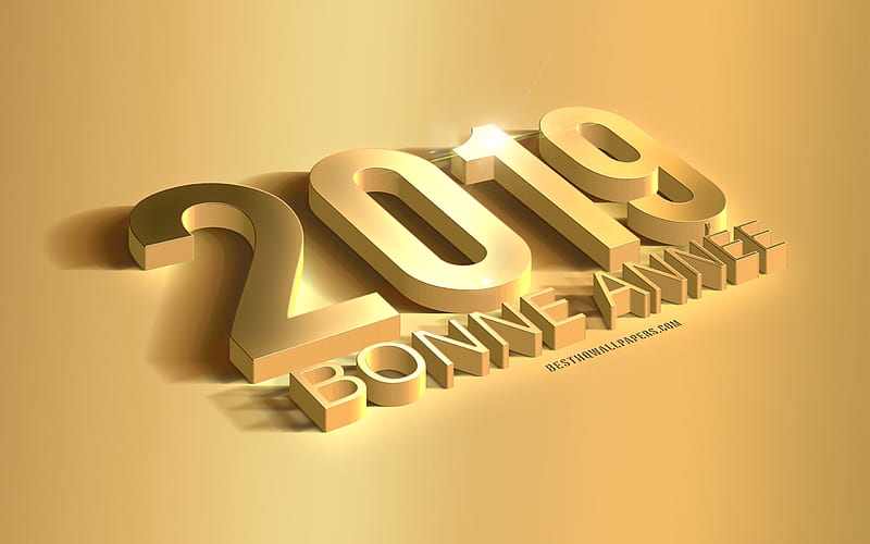 Bonne Annee 2019, Happy New Year in French, golden 3d art, 3d metal letters, golden background, metal texture, 2019 concepts, 2019 year, HD wallpaper