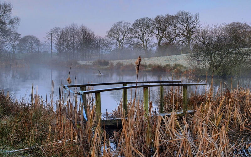 bridge out of order on a misty pond, pond, bridge, broken, ducks, mist, HD wallpaper