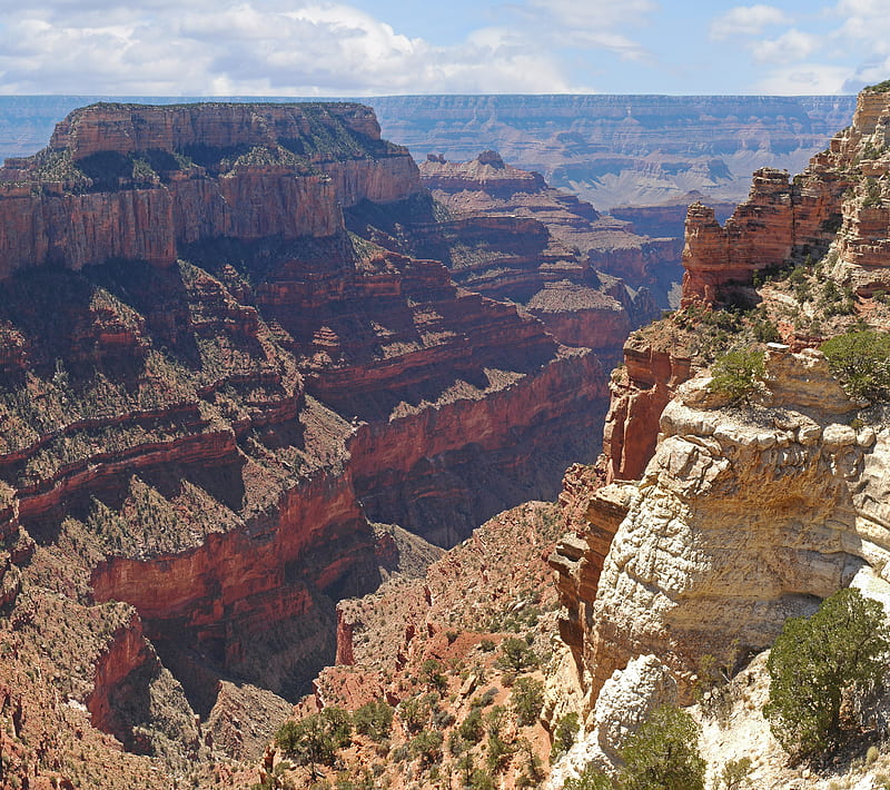 Grand Canyon 10, america, arizona, beauty, nature, park, usa, HD wallpaper