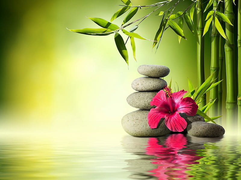 Spa background, pretty, zen, relax, background, bonito, leaves, stones,  water, HD wallpaper | Peakpx