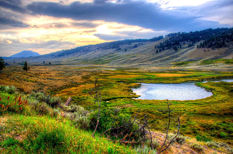 YELLOWSTONE NATIONAL PARK,USA, USA, National Park, Landscape Grass, mountains, Yellowstone, lake mountains, lake, Nature, HD wallpaper