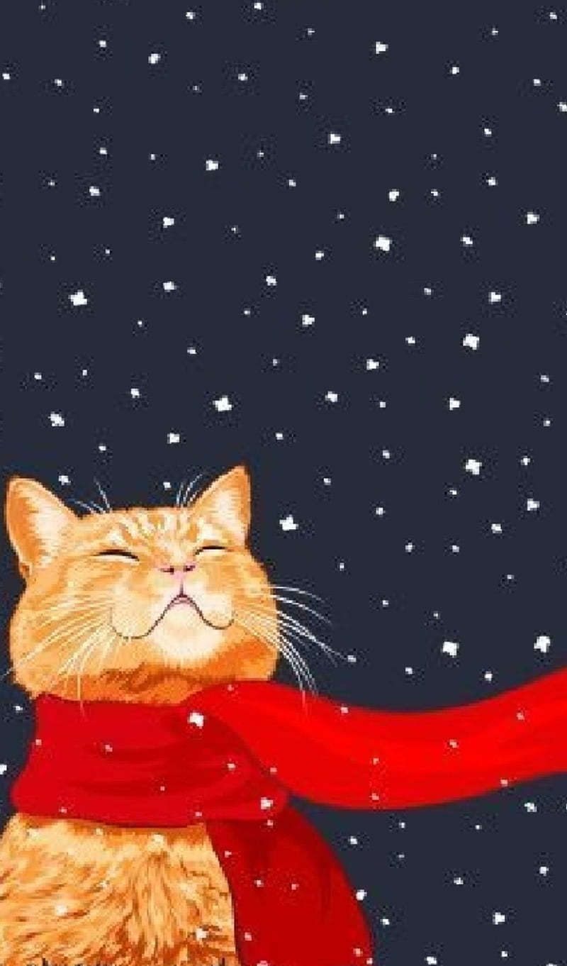 Cat in Snow 4K Wallpaper iPhone HD Phone 7680g