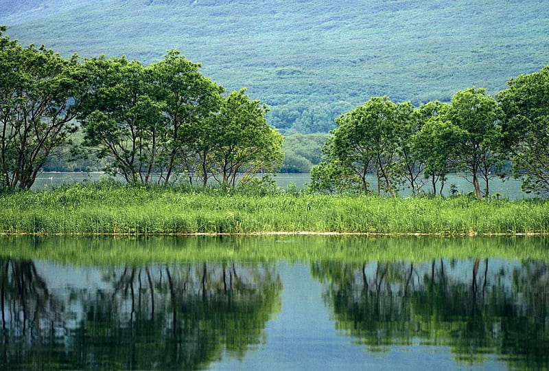 *** Kamchatka-Peninsula ***, lakes, nature, sky, trees, HD wallpaper