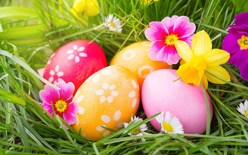 Easter, spring, easter eggs, green grass, colorful eggs, HD wallpaper