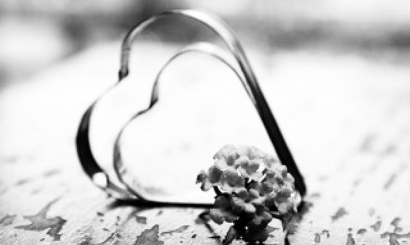 ღ, bouquet, folwers, love, black and white, corazones, letter, HD ...