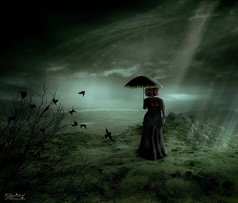 Waiting in the Night, fantasy, darkness, dark, birds, umbrella, abstract, woman, HD wallpaper