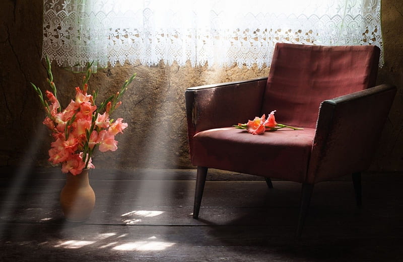 Gladiolus, flowers, chair, window, lights, HD wallpaper