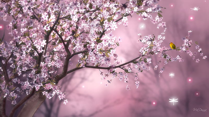 Sakura for Japan, glow, firefox persona, sky, tree, dragonflies, blossoms, blooming, pink, cherry, little yellow bird, HD wallpaper