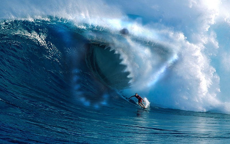 wave shark surfing-Sports, HD wallpaper