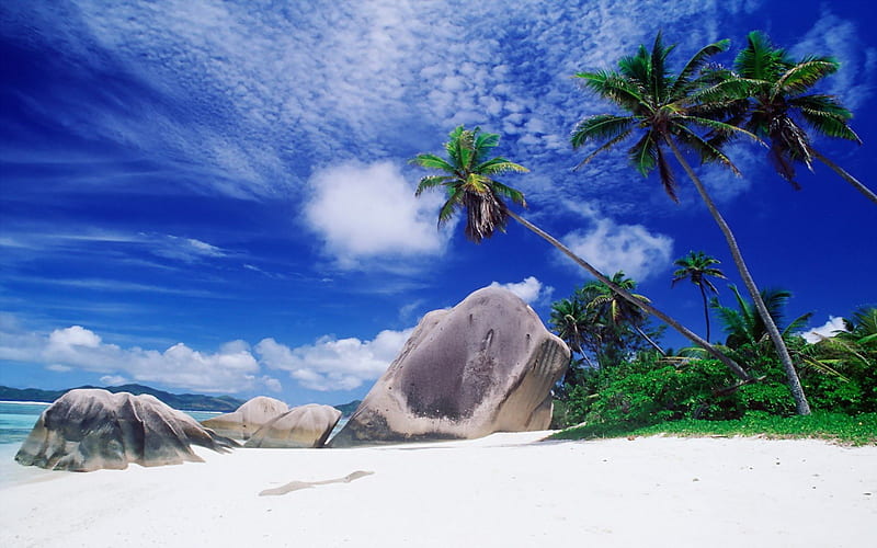 Playa de piedra rocosa, playa, exótica, arena, agua, playas, naturaleza,  tropical, Fondo de pantalla HD | Peakpx