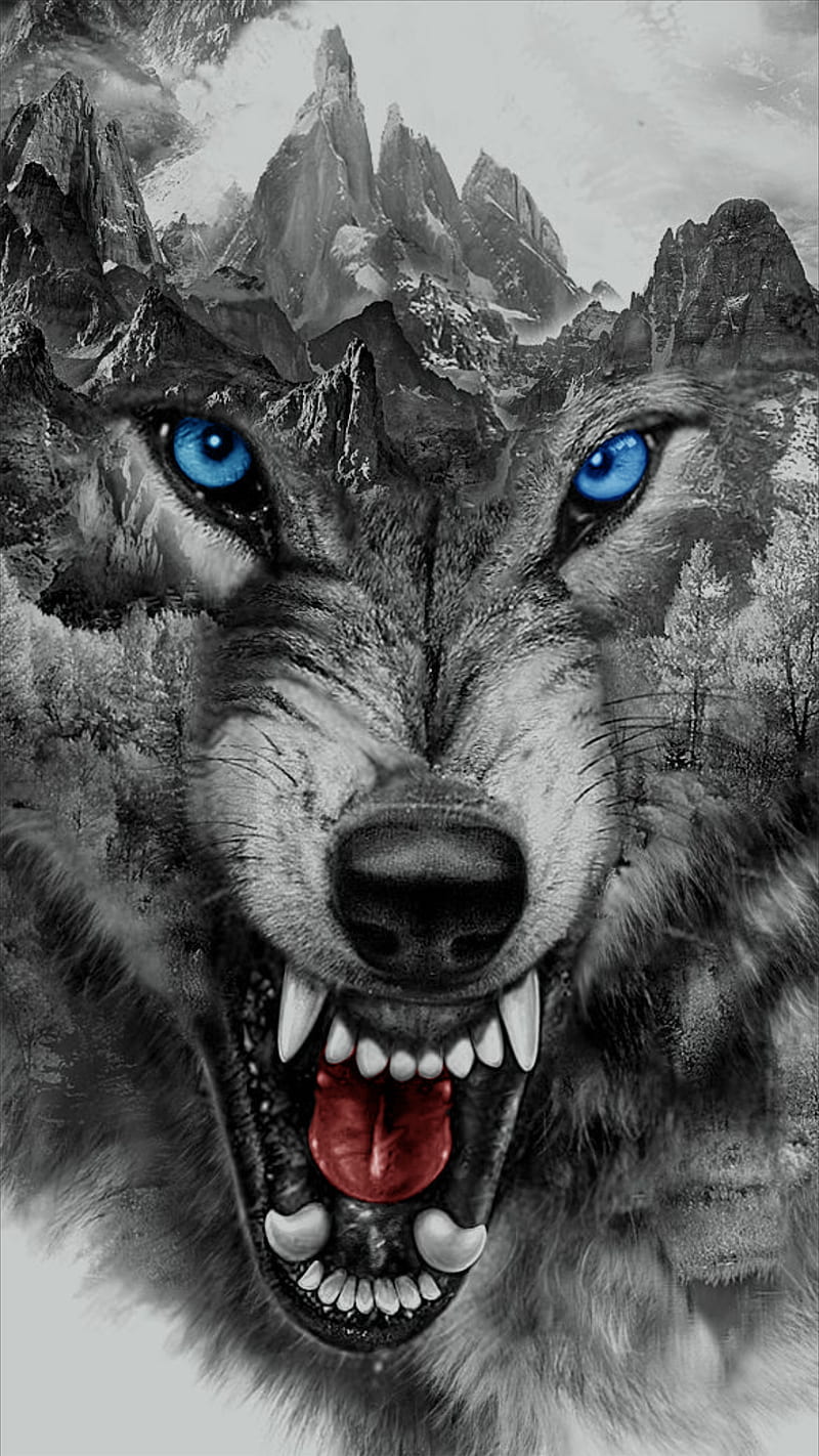 Angry wolf, animal, black and white, fantasy, mad, mountain, teeth, HD phone wallpaper