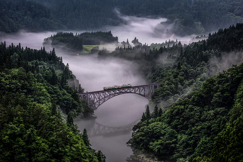 Train Going Over Bridge Surrounded By Trees And River, nature, trees, river, fog, train, HD wallpaper