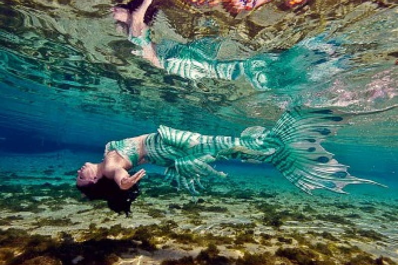 Surface Tension, ocean, magical, mermaid, elemental, reflection, HD wallpaper