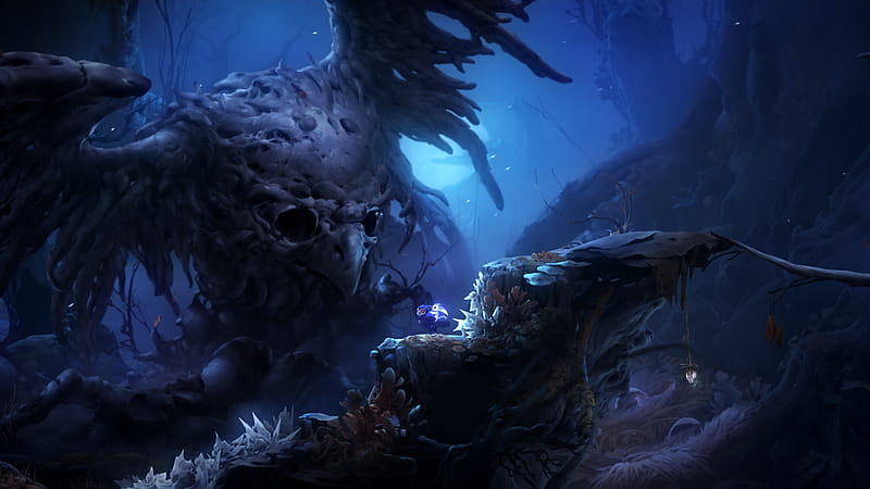 Video Game, Ori and the Will of the Wisps, HD wallpaper | Peakpx
