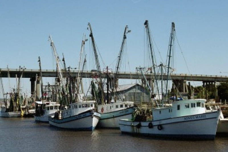 Shrimp Boat Row, river, shrimp, boat, bridge, HD wallpaper