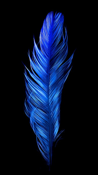 Purple Blue Feather, amoled, animal, bird, contrast, dark, minimal, oled,  true black, HD phone wallpaper | Peakpx
