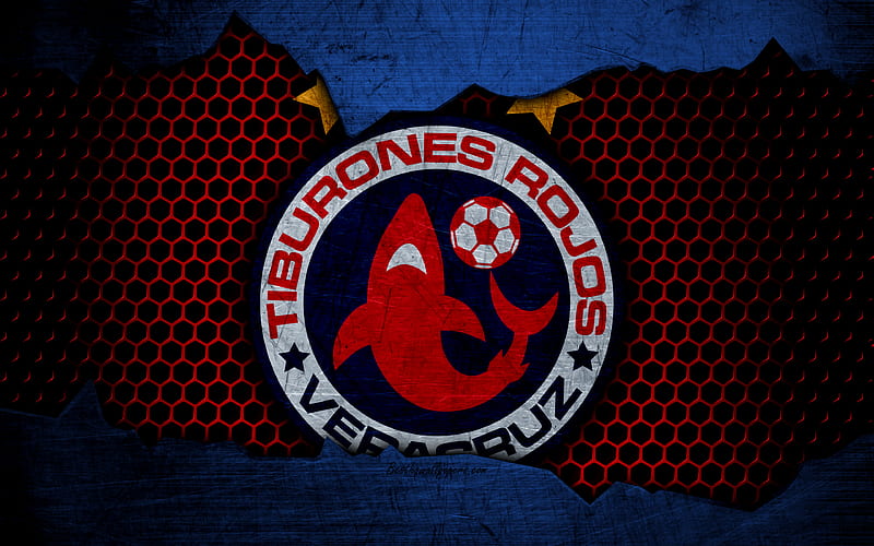 TR Veracruz logo, Liga MX, soccer, Primera Division, football club, Mexico, grunge, metal texture, TR Veracruz FC, HD wallpaper