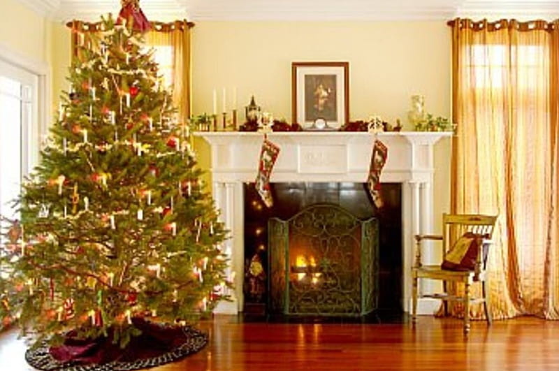 Christmas Tree, pom, magie, de, craciun, HD wallpaper
