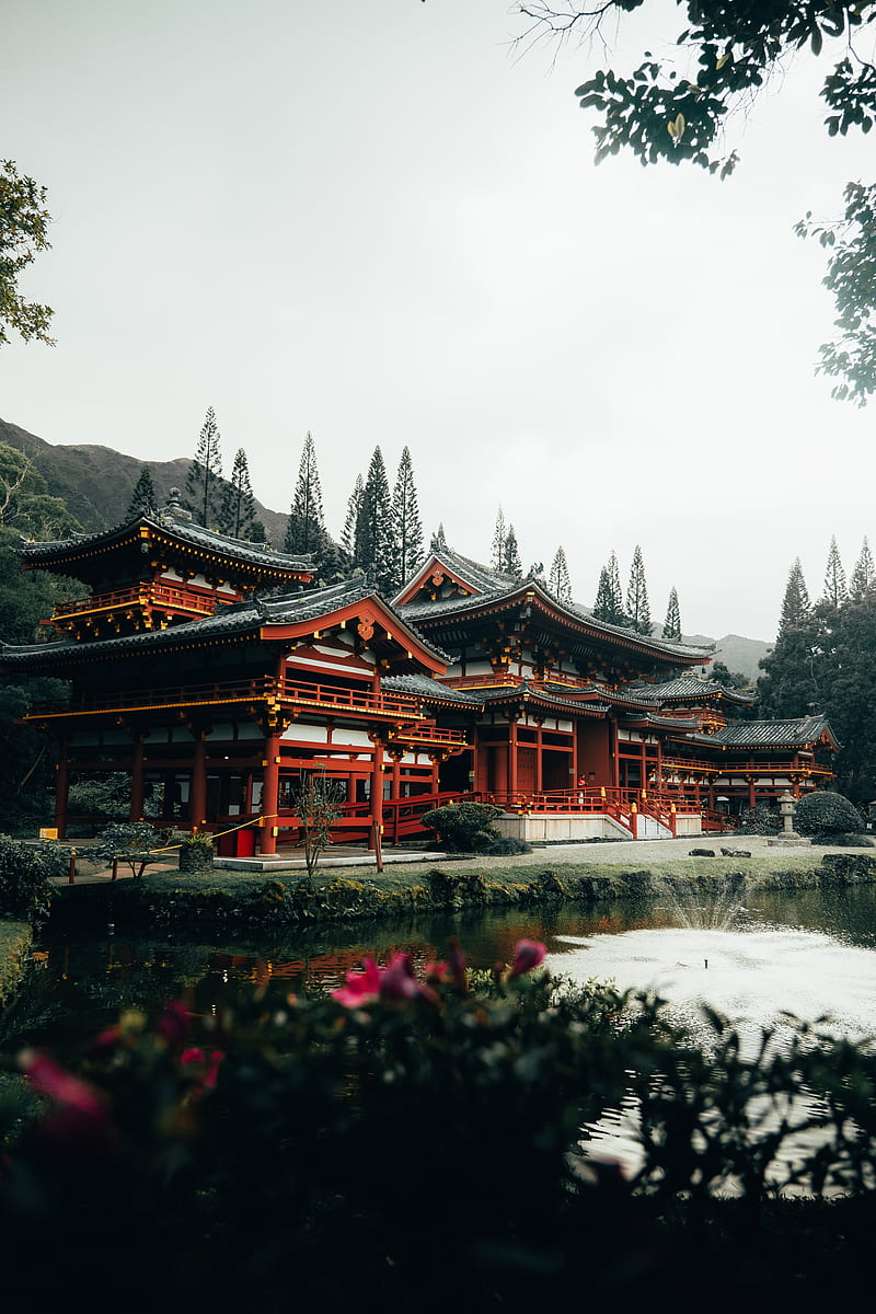 pagoda, architecture, lake, tree, flowers, HD phone wallpaper