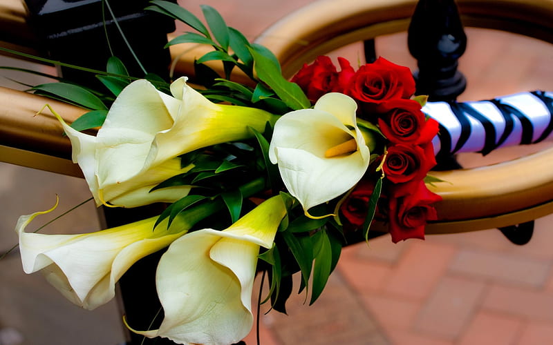 roses calla lilies flowers-s, HD wallpaper